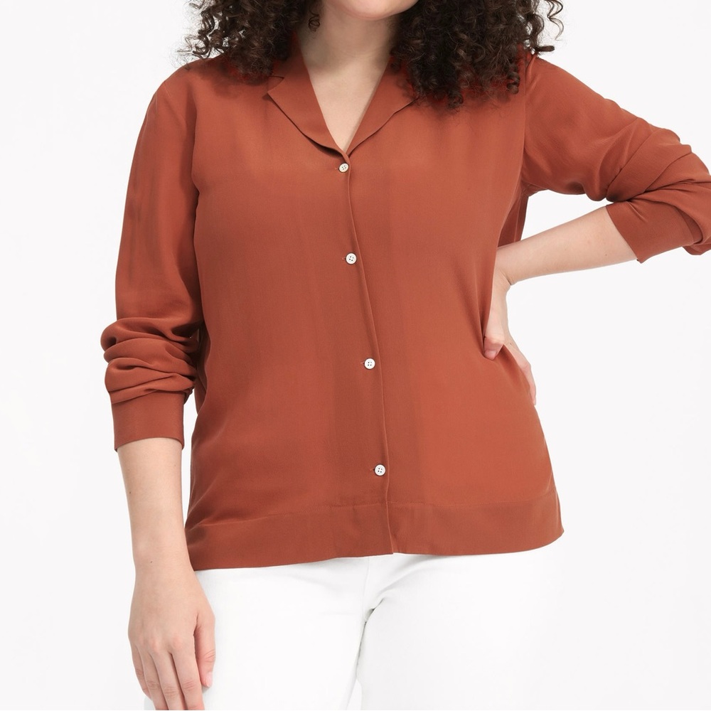 Everlane Clean Silk Button-Down Shirt